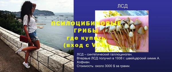 дживик Алзамай