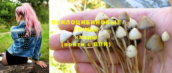 дживик Алзамай